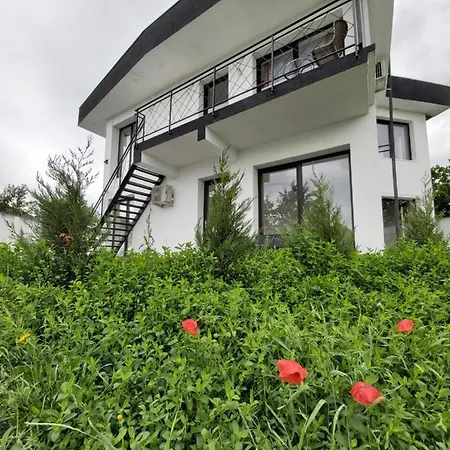 Apartment Accent House