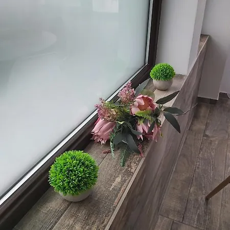 Accent House